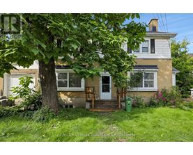 A tree in front of a house with a white door.