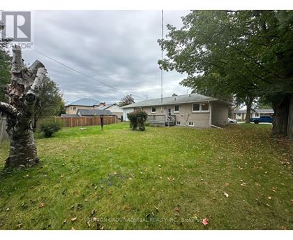 A backyard with a tree, a fence and a house in the background.