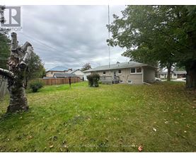 A backyard with a grassy area, a tree, and a house in the background.