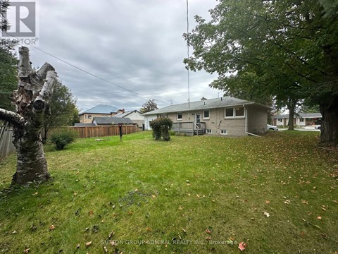A backyard with a grassy area, a tree, and a house in the background.
