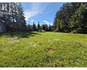 A grassy field with trees and a house in the background.