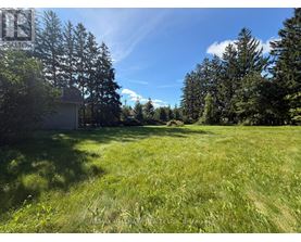 A grassy field with trees and a house in the background.
