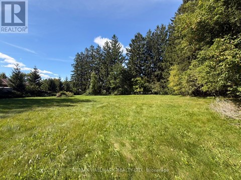 A grassy field with trees in the background and a realtor logo in the corner.