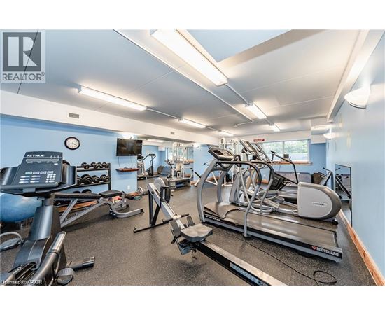 A gym with a variety of equipment including treadmills, elliptical machines, and weights.