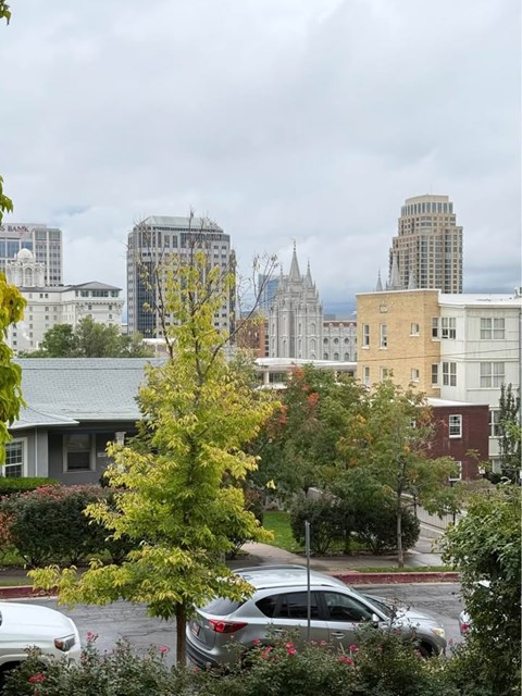 41 E 200 N Studio-2 Beds Apartment for Rent