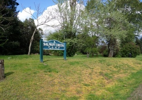 A green sign that says Salmon Creek stands in a grassy field.