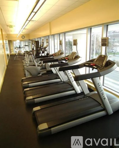 A row of treadmills are lined up in a gym.