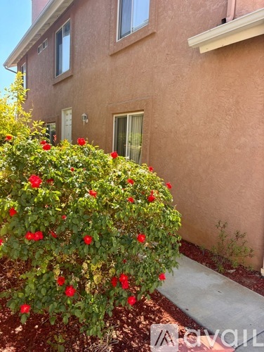 A bush with red flowers is in front of a house.
