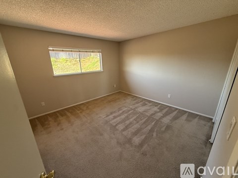 A room with a carpeted floor and a window showing a fence and grass outside.