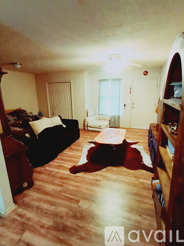 A living room with a couch, chair, and rug.
