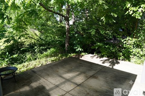 A patio surrounded by green trees.