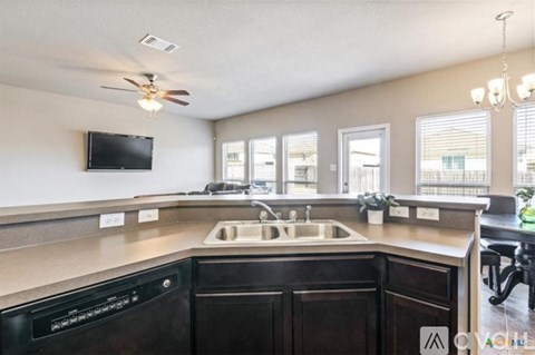 A kitchen with a black dishwasher and a black countertop.