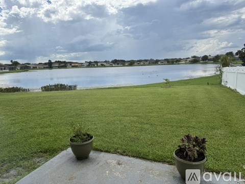 A view of a grassy area with a lake in the distance and two potted plants on a concrete surface.