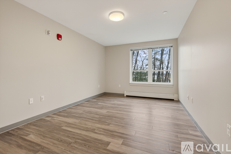 A room with wooden flooring and a window overlooking trees.