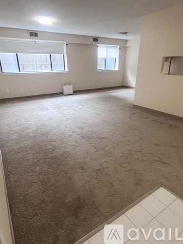 A large empty room with carpeted floor and two windows.