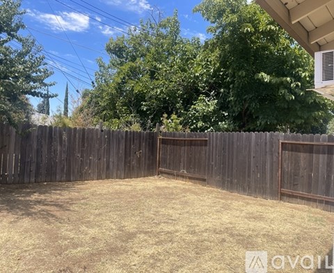 A backyard with a wooden fence and trees in the background.