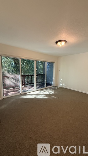A room with a carpeted floor and a window with a view of trees and a fence.
