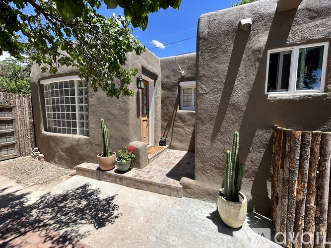A cactus is sitting on a table outside a house.