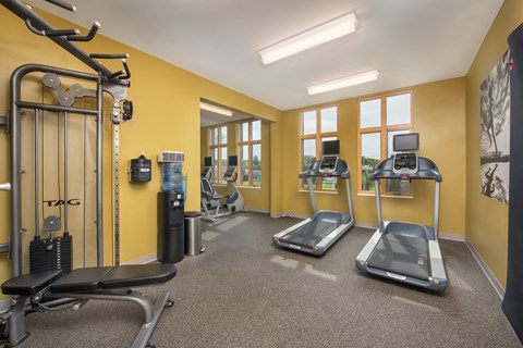 A gym with treadmills, a weight bench, and a tug of war bar.