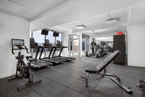 A gym with a variety of equipment including treadmills, weights, and a bench press.
