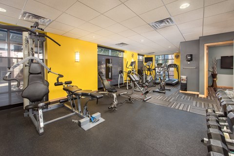 A gym with a variety of equipment including a rowing machine, a stationary bike, and a bench press.