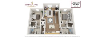 Aster Vista