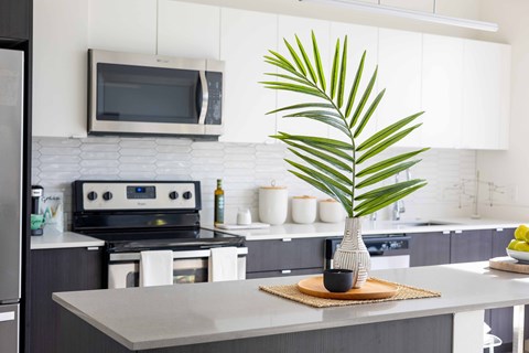 A kitchen with a palm tree plant in a vase on the counter.