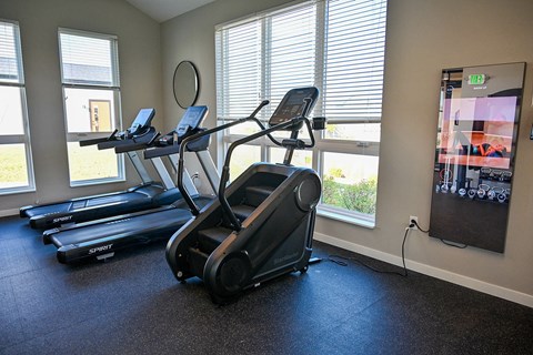A gym room with treadmills and elliptical machines.