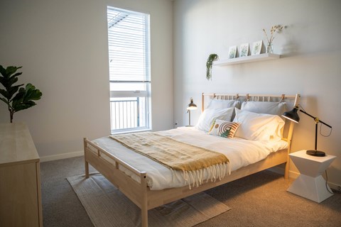 A bedroom with a bed, a lamp, and a plant.