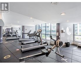 A gym with treadmills and elliptical machines.