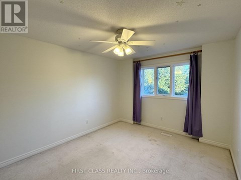 17 MAGGS STREET 5 Beds Apartment for Rent