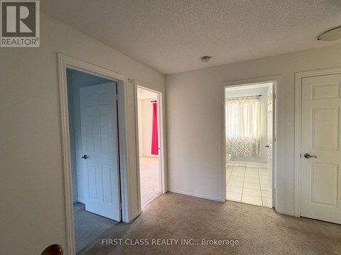 17 MAGGS STREET 5 Beds Apartment for Rent