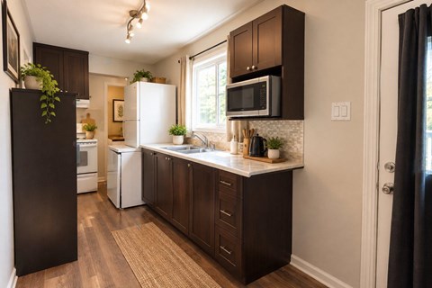 147 Rue Montpetit, #A 1 Apartment for Rent