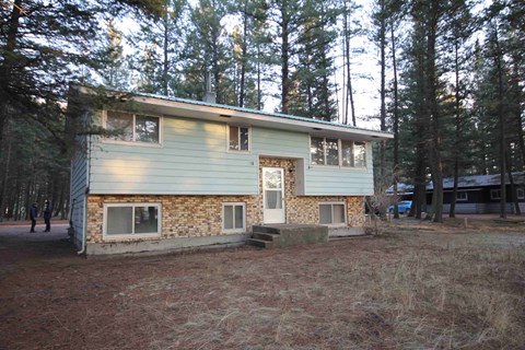 A house with a white door and windows is surrounded by trees.