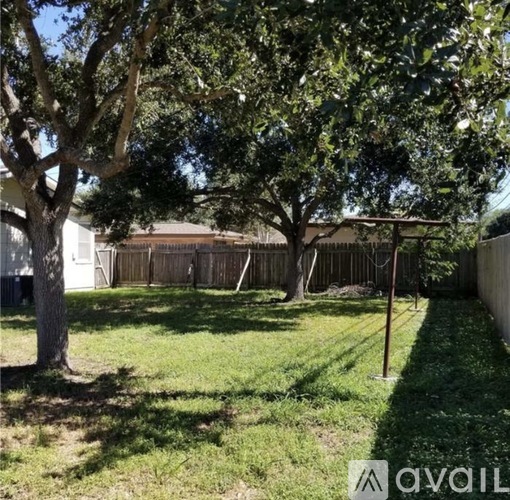 A backyard with a tree and a fence.