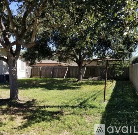 A backyard with a tree and a fence.