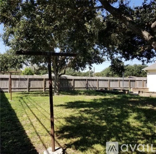 A backyard with a fence and a tree.
