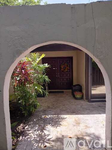 A doorway with a door and a plant in front.
