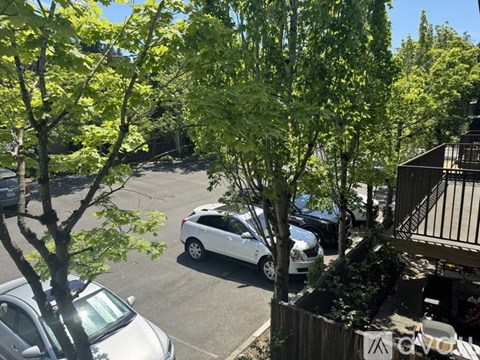 A white car is parked in a lot surrounded by trees.