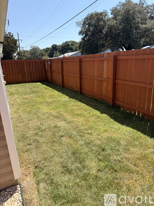 A backyard with a wooden fence and green grass.