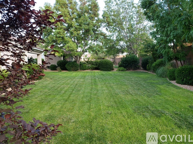 A backyard with a well-maintained lawn and trees.