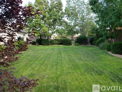 A backyard with a well-maintained lawn and trees.