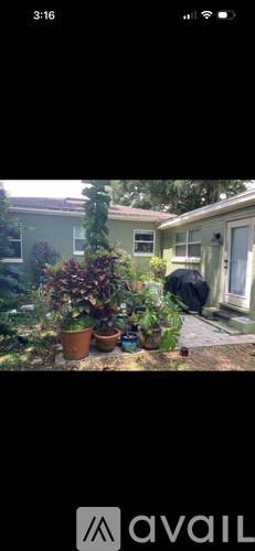 A house with a green lawn and a tree in front of it.