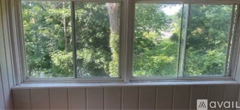 A window with a view of trees outside.