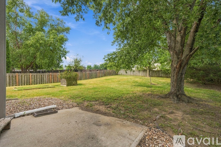 A backyard with a tree, a fence, and a grassy area.