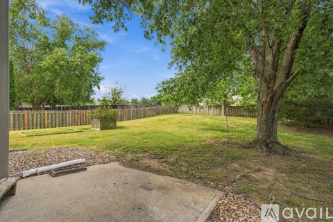 A backyard with a tree, a fence, and a grassy area.