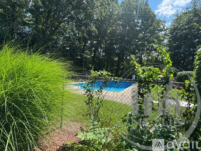 A pool surrounded by greenery and trees.