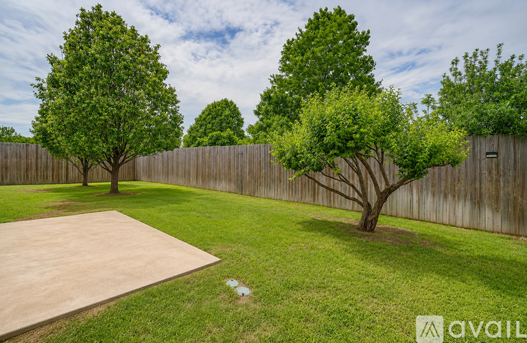 A backyard with a concrete slab and three trees.