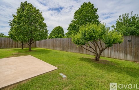 A backyard with a concrete slab and three trees.