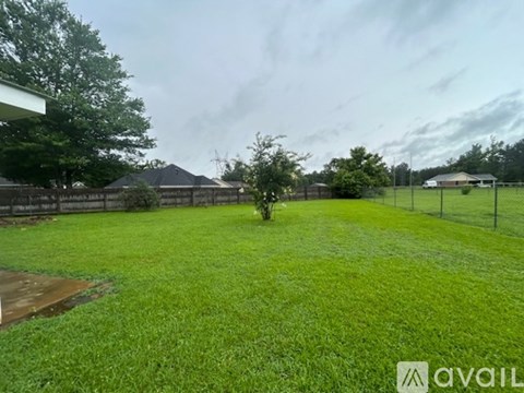 A grassy yard with a tree and a fence.